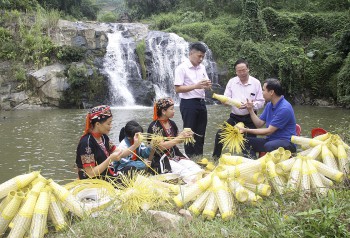 Cuộc sống mới của đồng bào dân tộc vùng cao Yên Bái